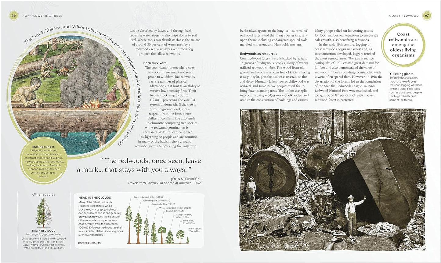 The Tree Book: The Stories, Science, and History of Trees (Hardback)