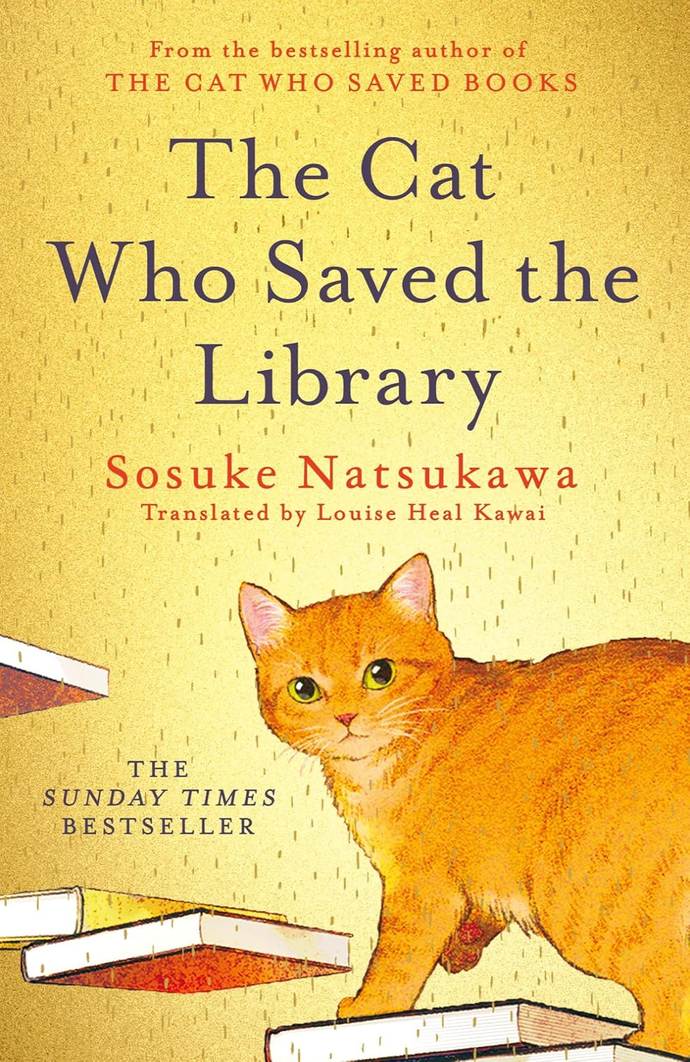 The Cat Who Saved the Library By Sōsuke Natsukawa - The Cat Who... #2