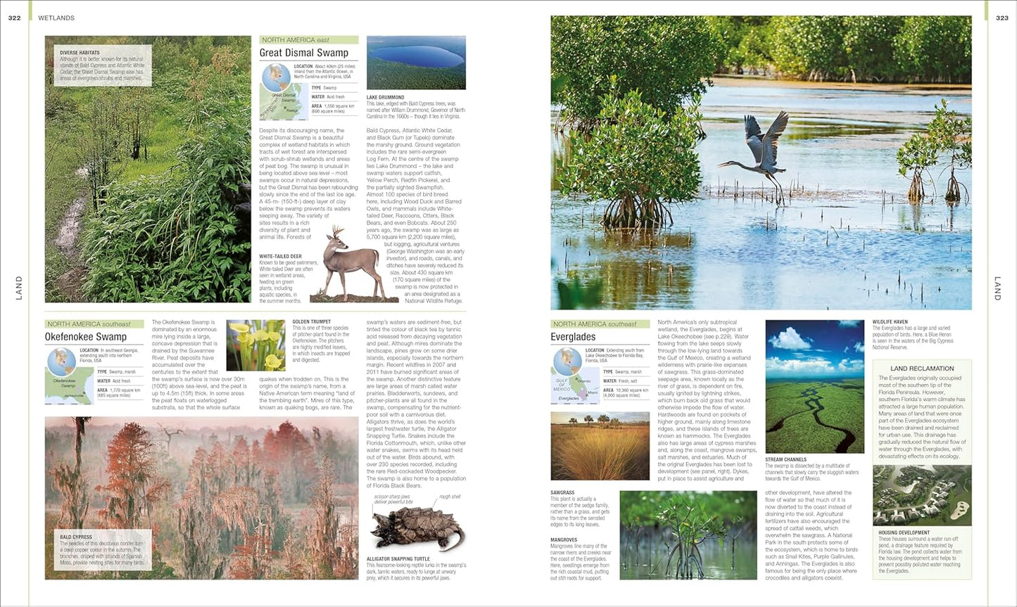Earth: The Definitive Visual Guide - DK Definitive Visual Encyclopedias (Hardback)
