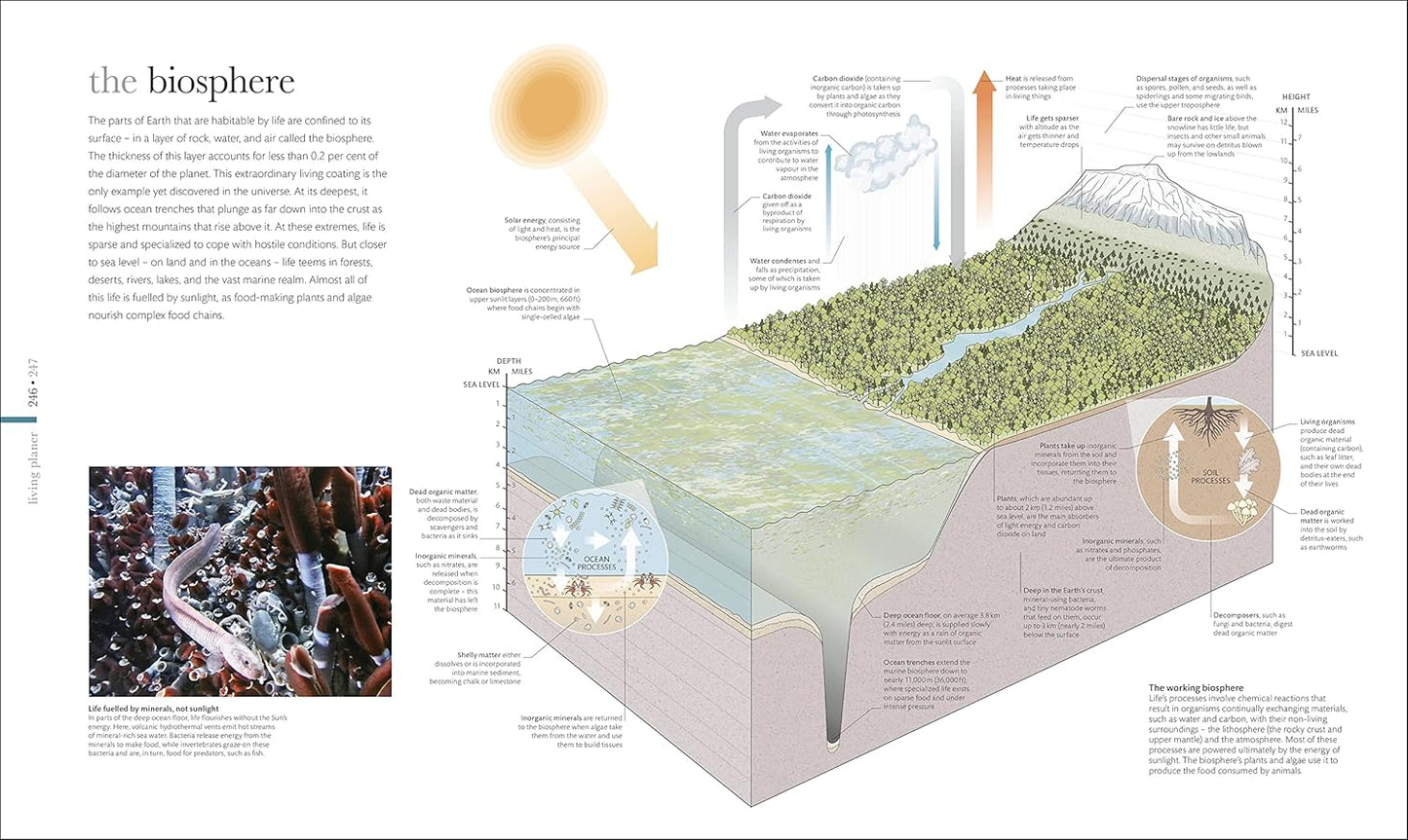 The Science of the Earth: The Secrets of Our Planet Revealed - DK Secret World Encyclopedias (Hardback)