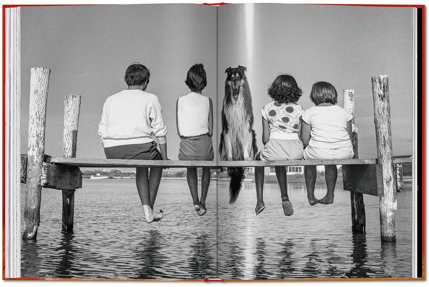 Walter Chandoha. Dogs. Photographs 1941–1991 (Hardback)
