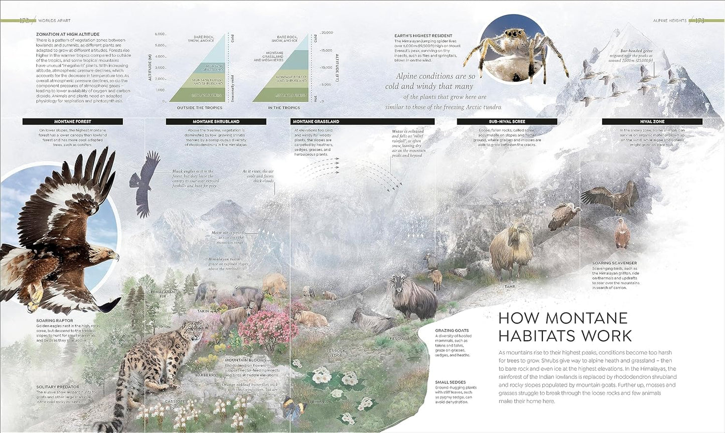 Habitats: Discover Earth's Precious Wild Places (Hardback)