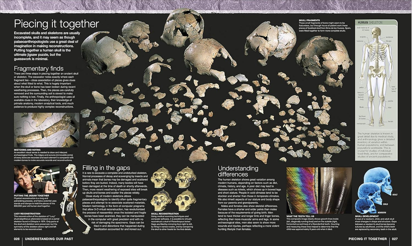 Evolution: The Human Story (Hardback)