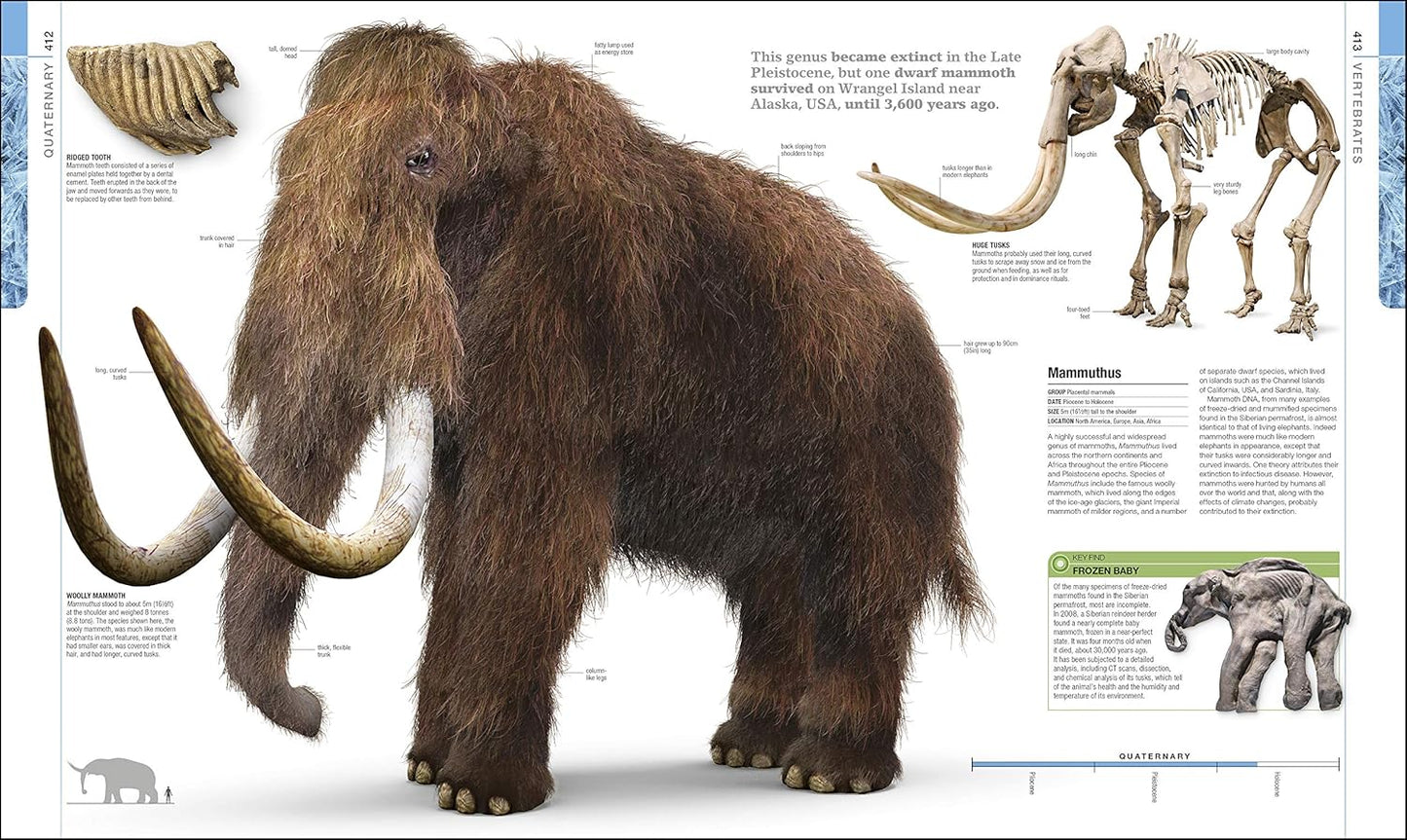 Dinosaurs and Prehistoric Life: The Definitive Visual Guide to Prehistoric Animals - DK Definitive Visual Encyclopedias (Hardback)