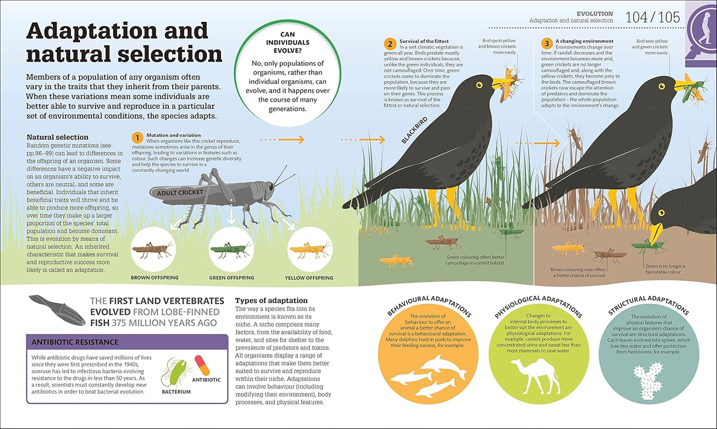 How Biology Works: The Facts Visually Explained - DK How Stuff Works (Hardback)