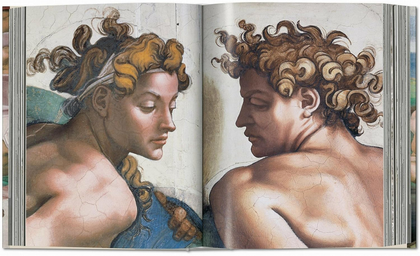 Michelangelo. The Complete Works. Paintings, Sculptures, Architecture (Hardback)