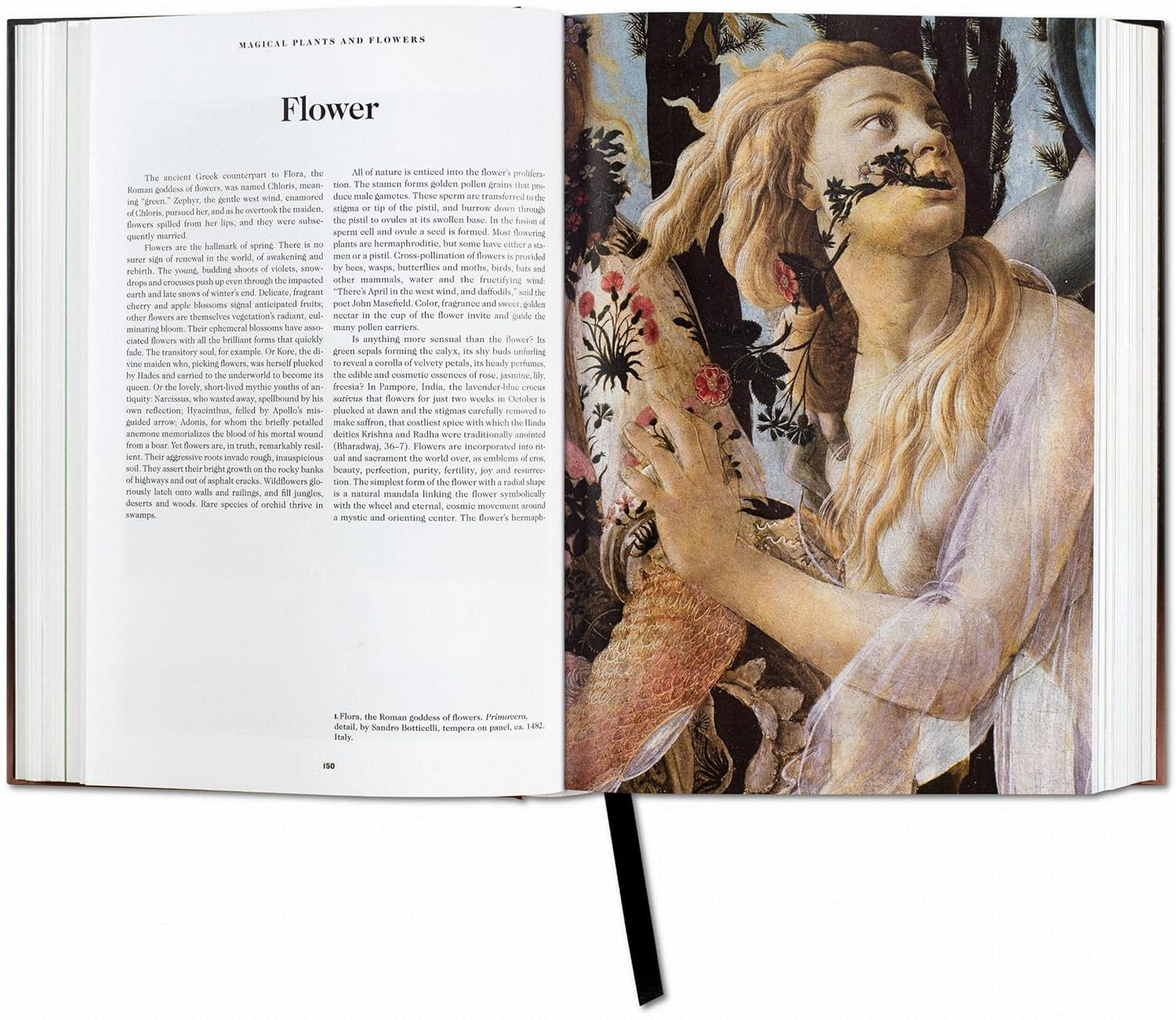 The Book of Symbols. Reflections on Archetypal Images (Hardback)