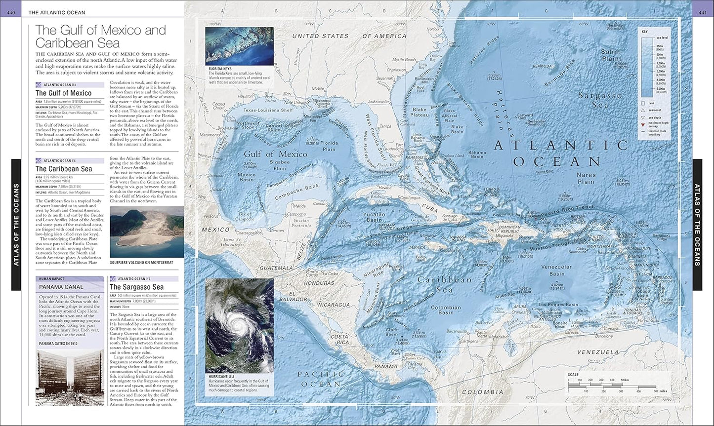 Ocean: The Definitive Visual Guide - DK Definitive Visual Encyclopedias (Hardback)