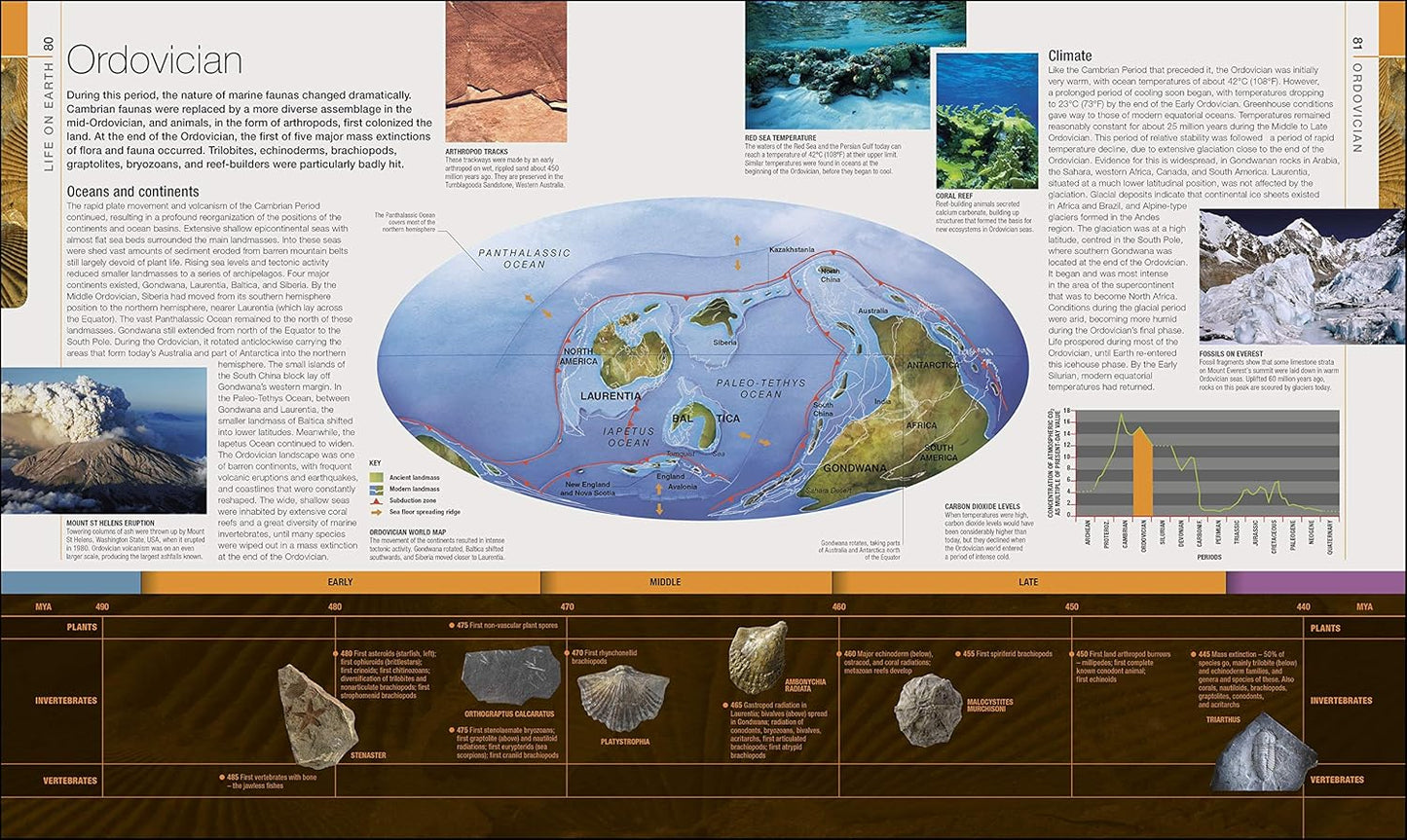 Dinosaurs and Prehistoric Life: The Definitive Visual Guide to Prehistoric Animals - DK Definitive Visual Encyclopedias (Hardback)