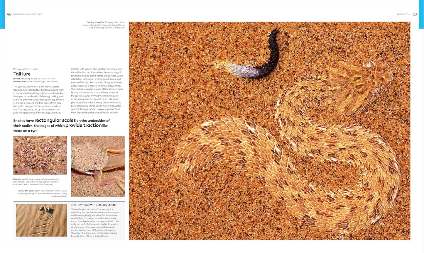 Animal Behaviour: Stories of Instinct, Intelligence and Adaptation - DK Definitive Visual Encyclopedias (Hardback)