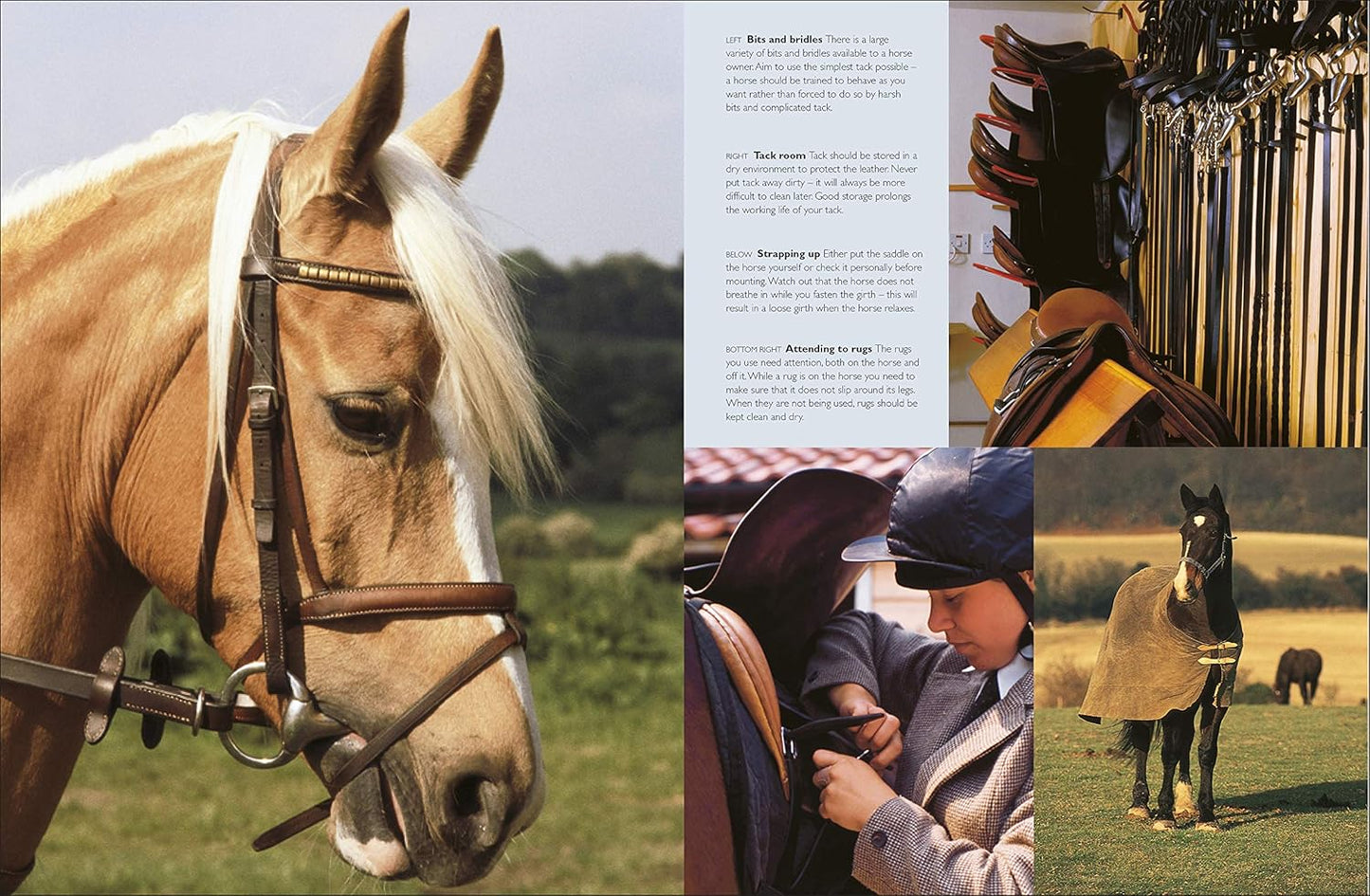 Complete Horse Care Manual - DK Practical Pet Guides (Hardback)
