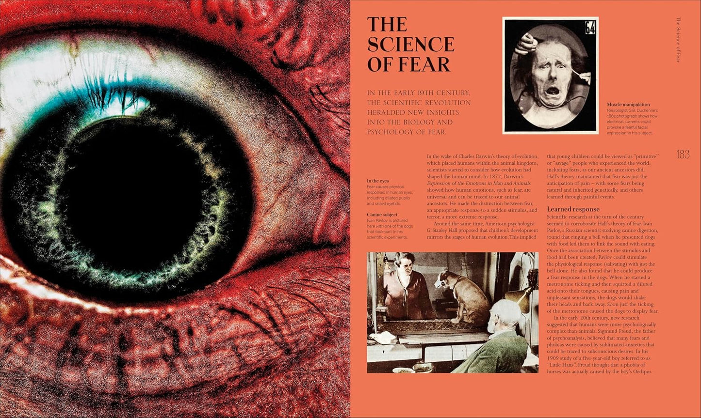 A History of Horror, Fear, and the Uncanny - Esoteric Histories (Hardback)