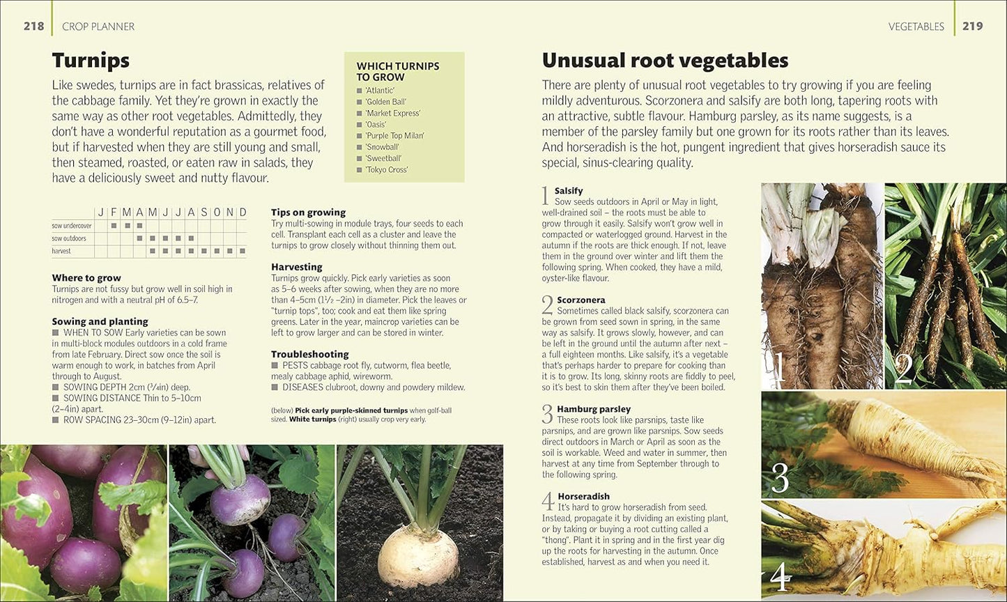 Allotment Month By Month: Grow your Own Fruit and Vegetables, Know What to do When (Hardback)