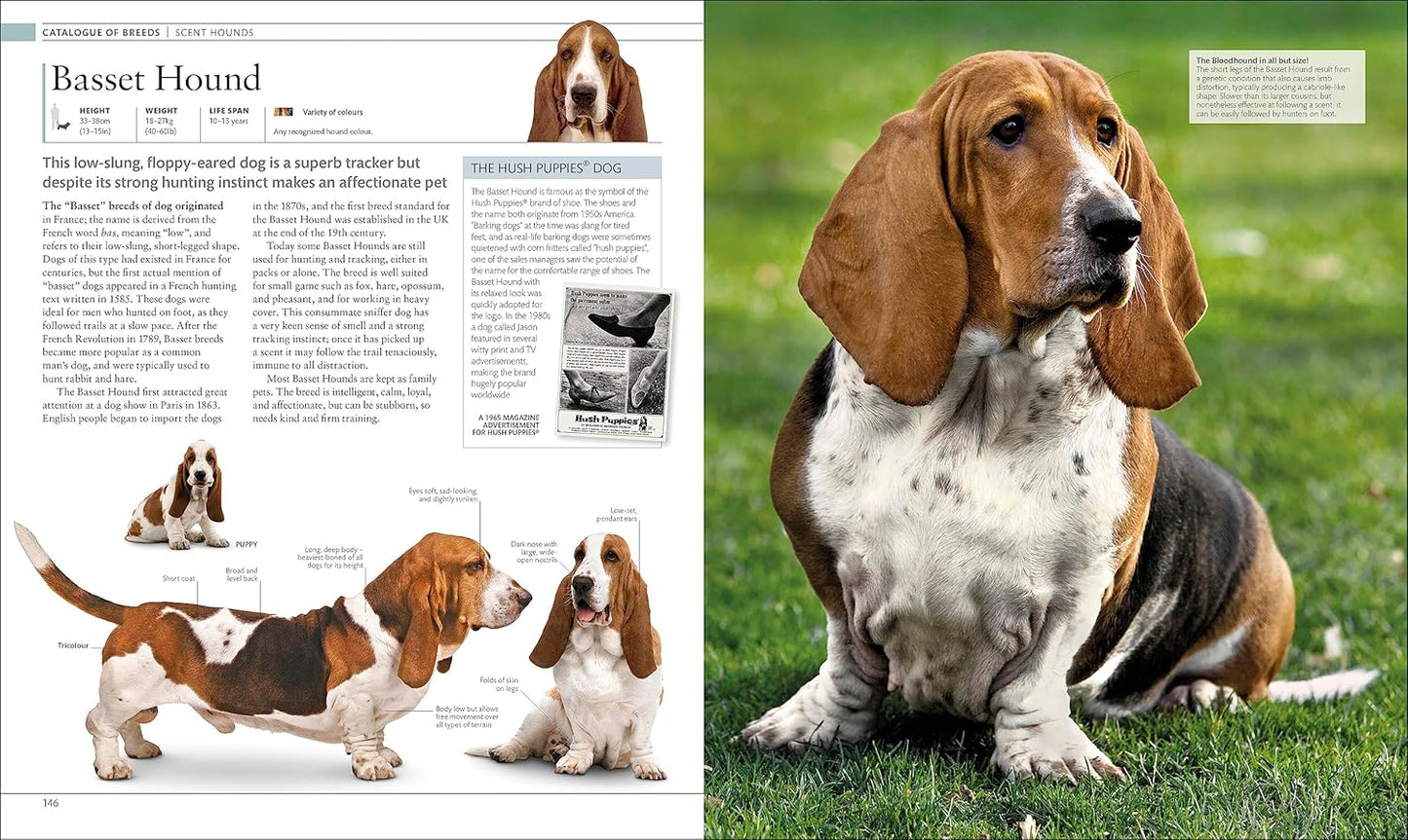 The Dog Encyclopedia: The Definitive Visual Guide - DK Pet Encyclopedias (Hardback)