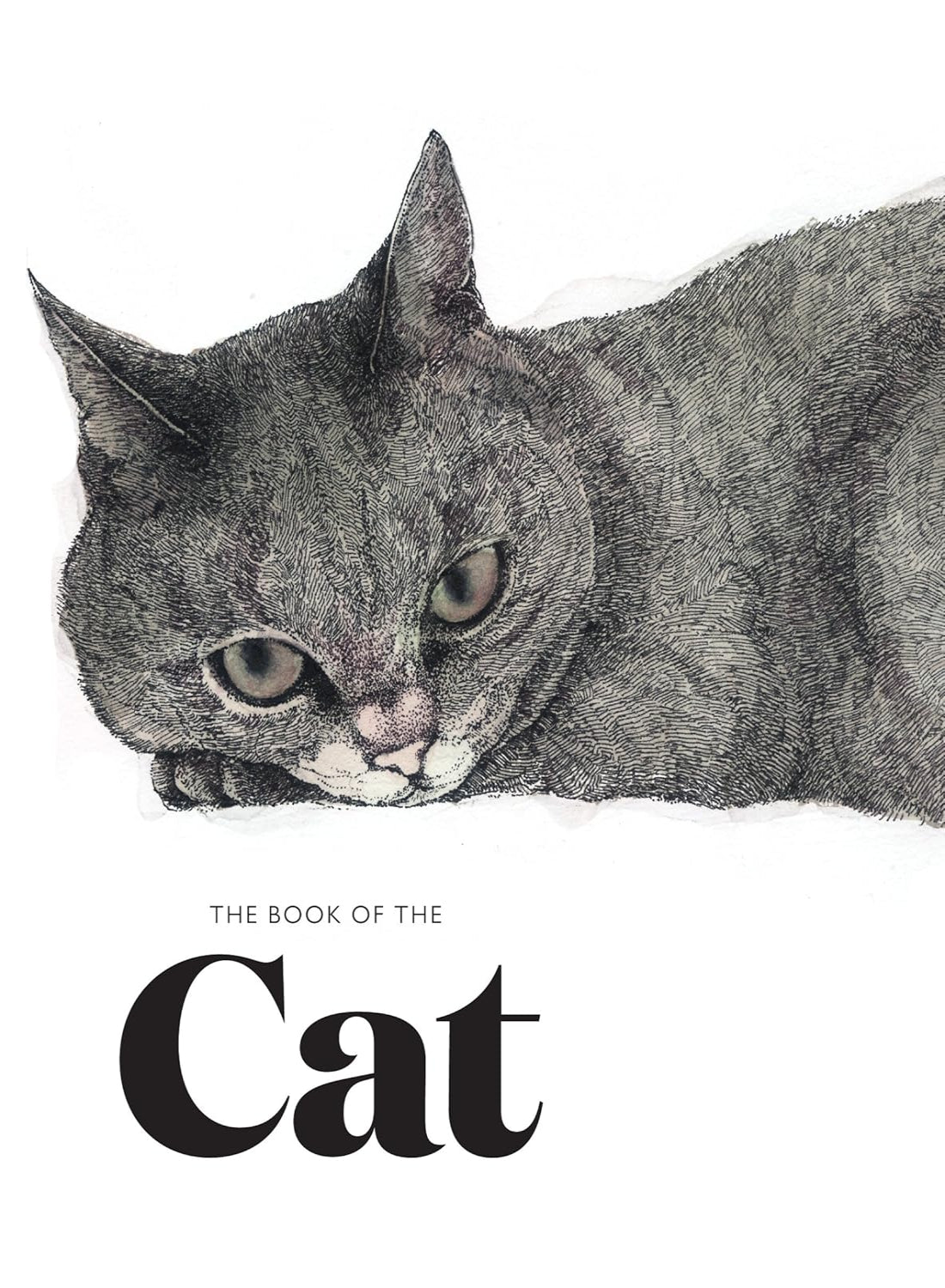 The Book of the Cat: Cats in Art (Paperback)