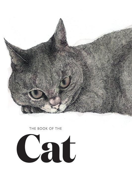 The Book of the Cat: Cats in Art (Paperback)