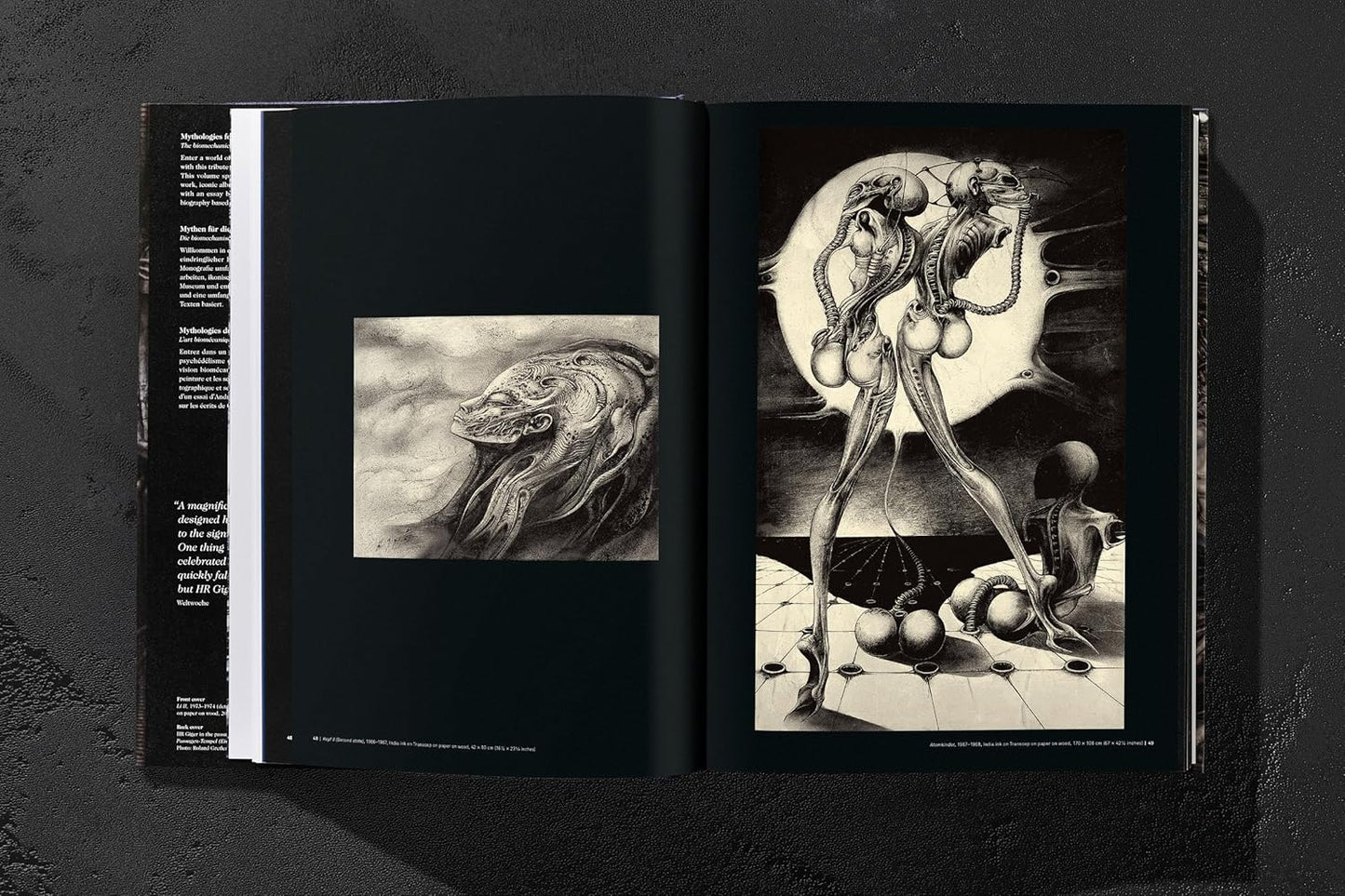 HR Giger (Hardback)