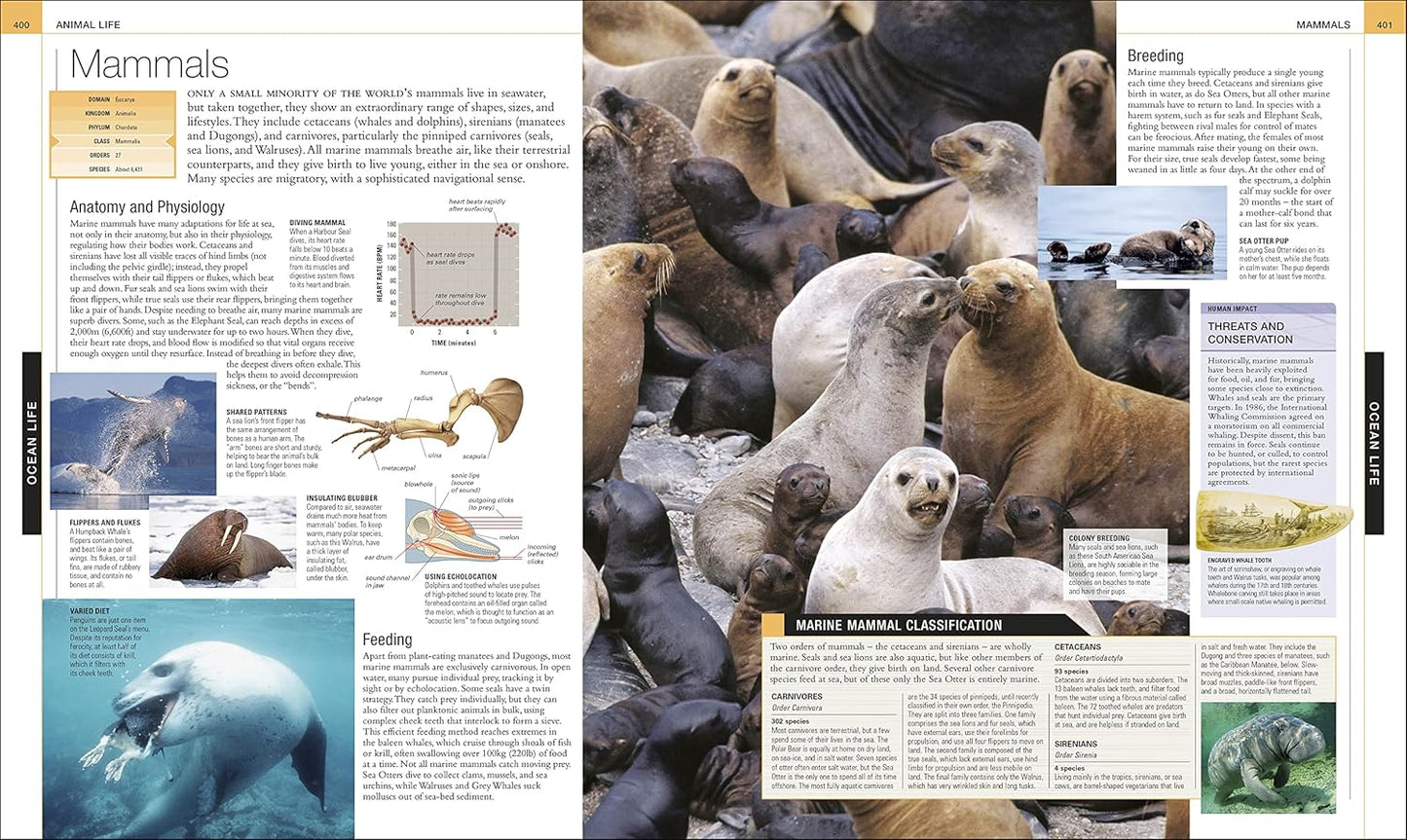 Ocean: The Definitive Visual Guide - DK Definitive Visual Encyclopedias (Hardback)