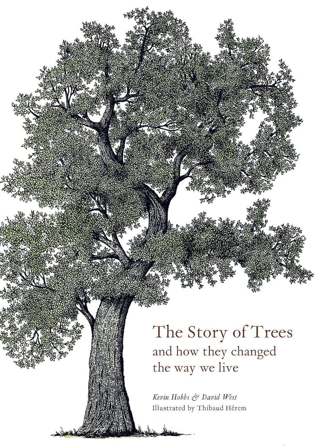 The Story of Trees: And How They Changed the Way We Live (Hardback)