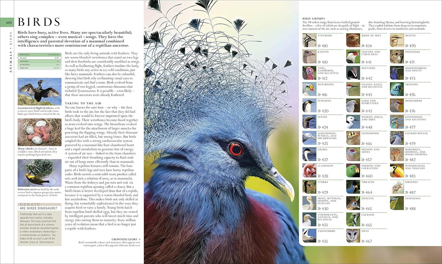 The Natural History Book: The Ultimate Visual Guide to Everything on Earth - DK Definitive Visual Encyclopedias (Hardback)
