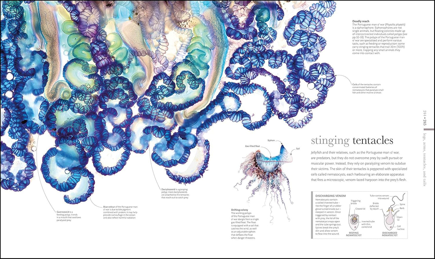 The Science of Animals: Inside their Secret World - DK Secret World Encyclopedias (Hardback)