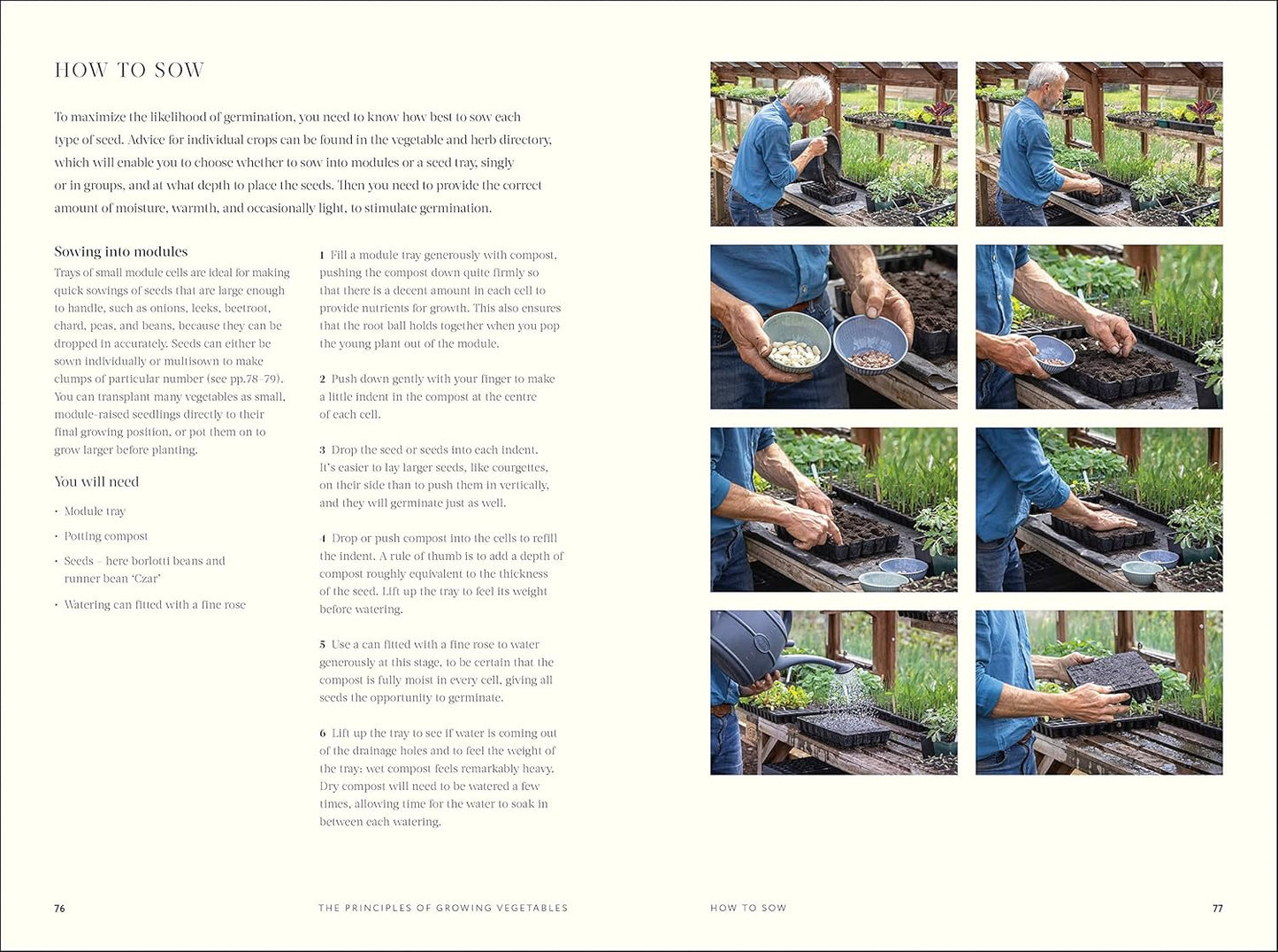 No Dig: Nurture Your Soil to Grow Better Veg with Less Effort (Hardback)