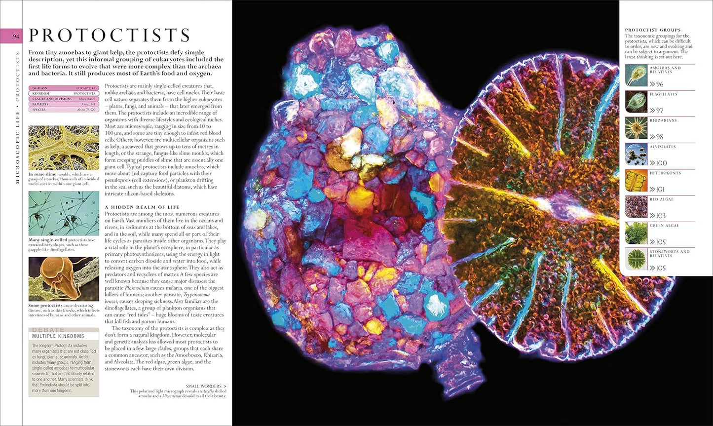 The Natural History Book: The Ultimate Visual Guide to Everything on Earth - DK Definitive Visual Encyclopedias (Hardback)