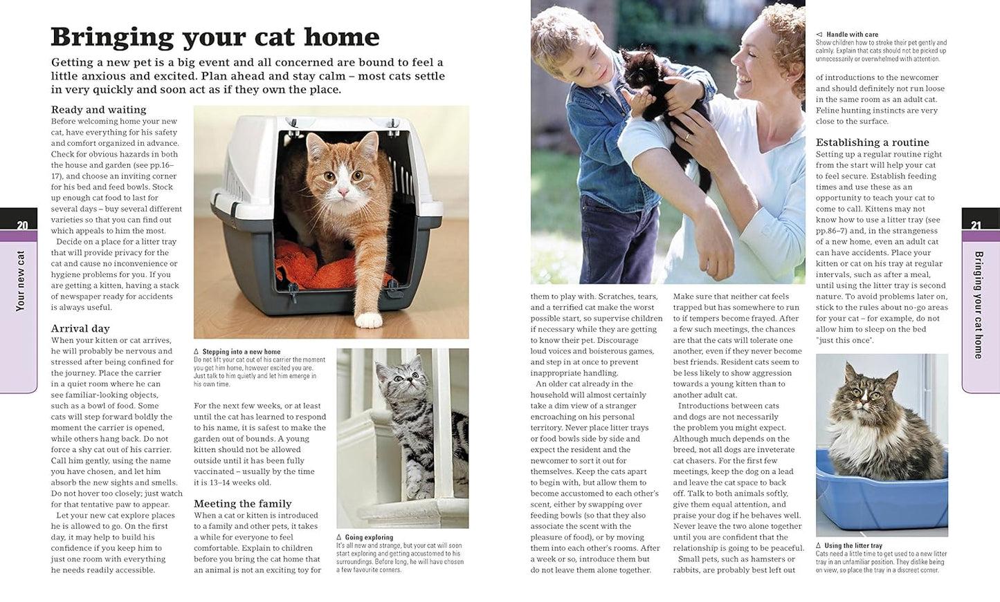 Complete Cat Care: How to Keep Your Cat Healthy and Happy - DK Practical Pet Guides (Paperback)