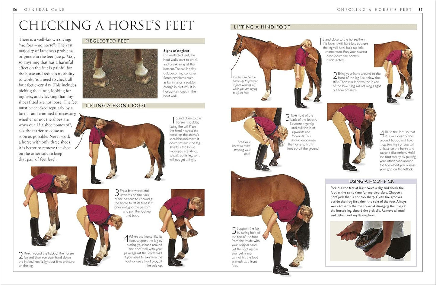 Complete Horse Care Manual - DK Practical Pet Guides (Hardback)
