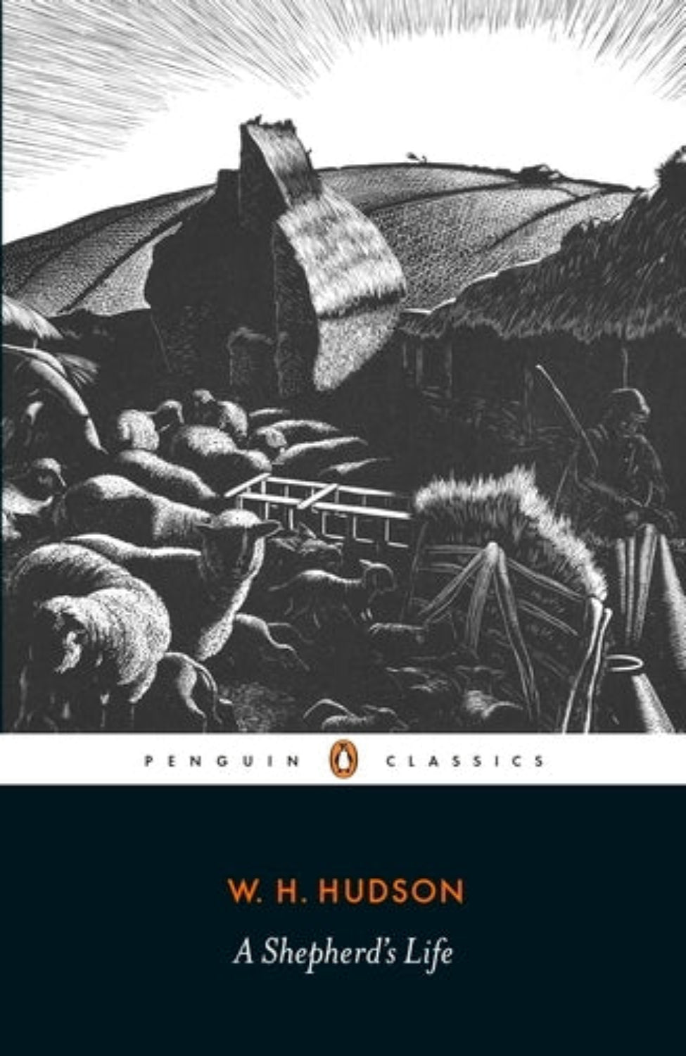 A Shepherd's Life By William Henry Hudson