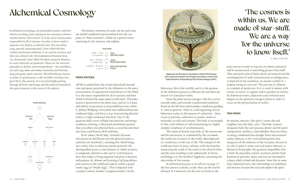 Wild Alchemy: An astro-botanical guide to the magic, myth and medicine of plants (Hardback)