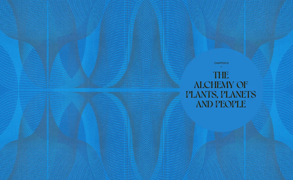 Wild Alchemy: An astro-botanical guide to the magic, myth and medicine of plants (Hardback)