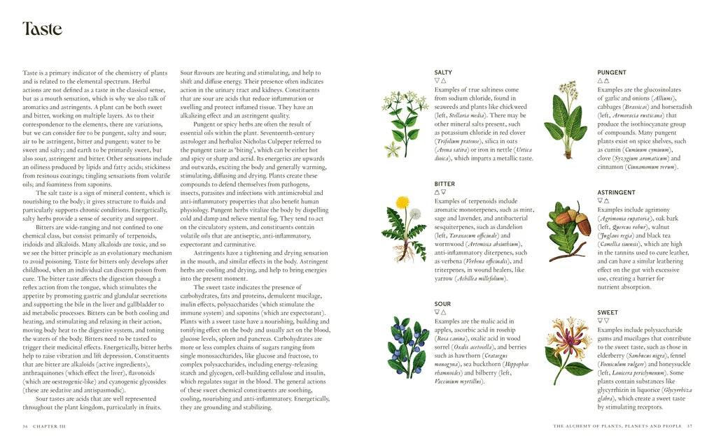 Wild Alchemy: An astro-botanical guide to the magic, myth and medicine of plants (Hardback)