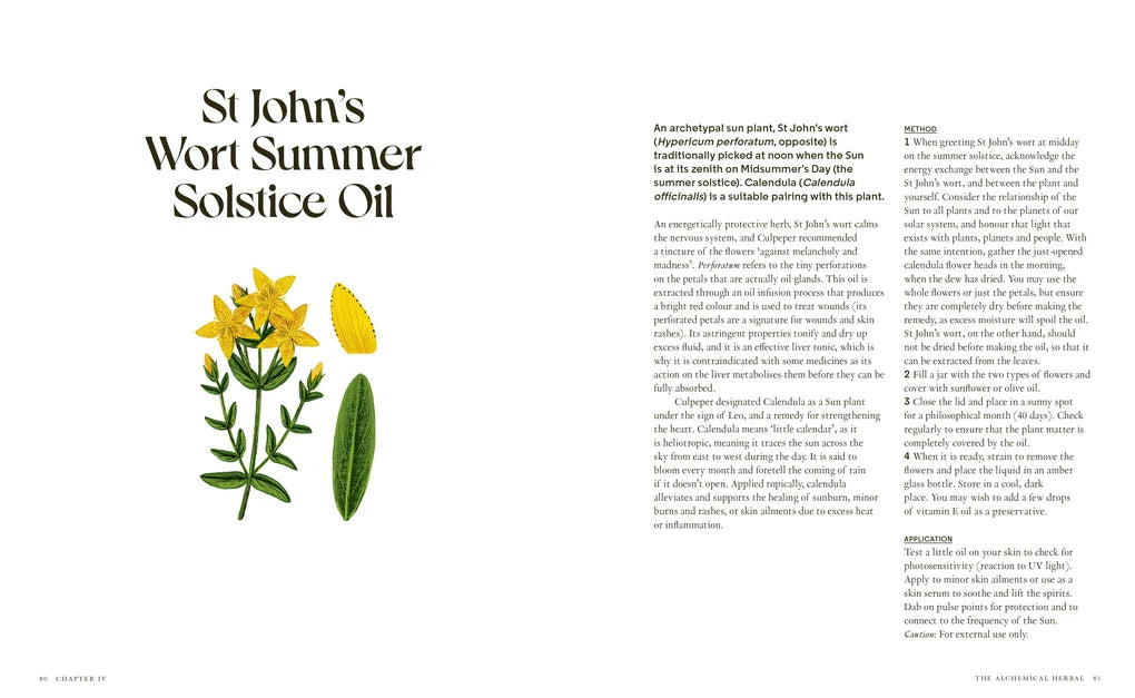 Wild Alchemy: An astro-botanical guide to the magic, myth and medicine of plants (Hardback)