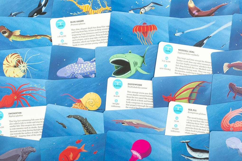 Deep Sea Discovery - A card game for ocean explorers