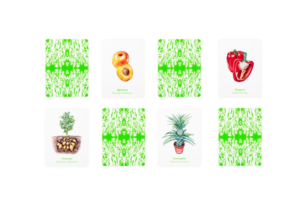 Gardener’s Match - A Fruit and Vegetable Memory Game