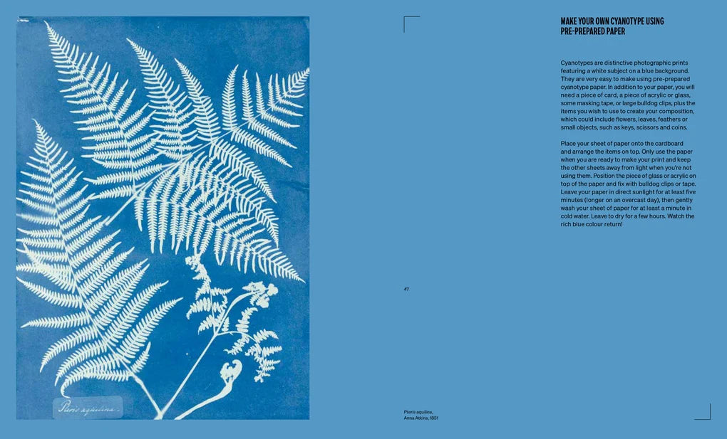 The Women Who Changed Photography: And How To Master Their Techniques (Paperback)