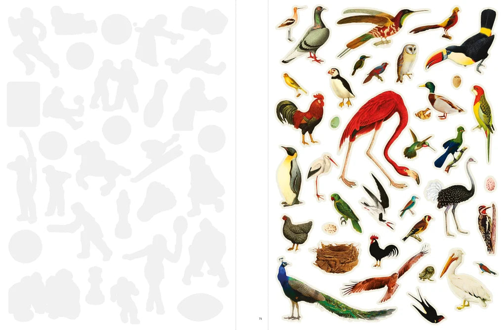 Even More Extraordinary Things to Cut Out and Collage (Paperback)