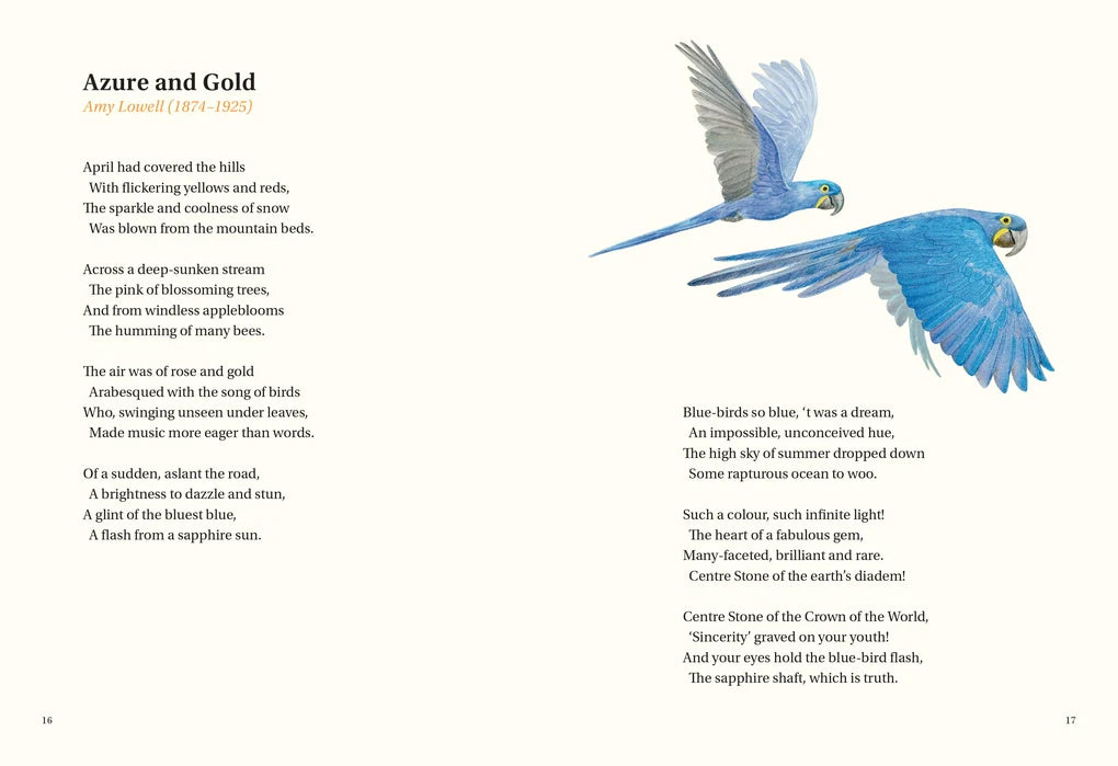 The Book of Bird Poems (Hardback)