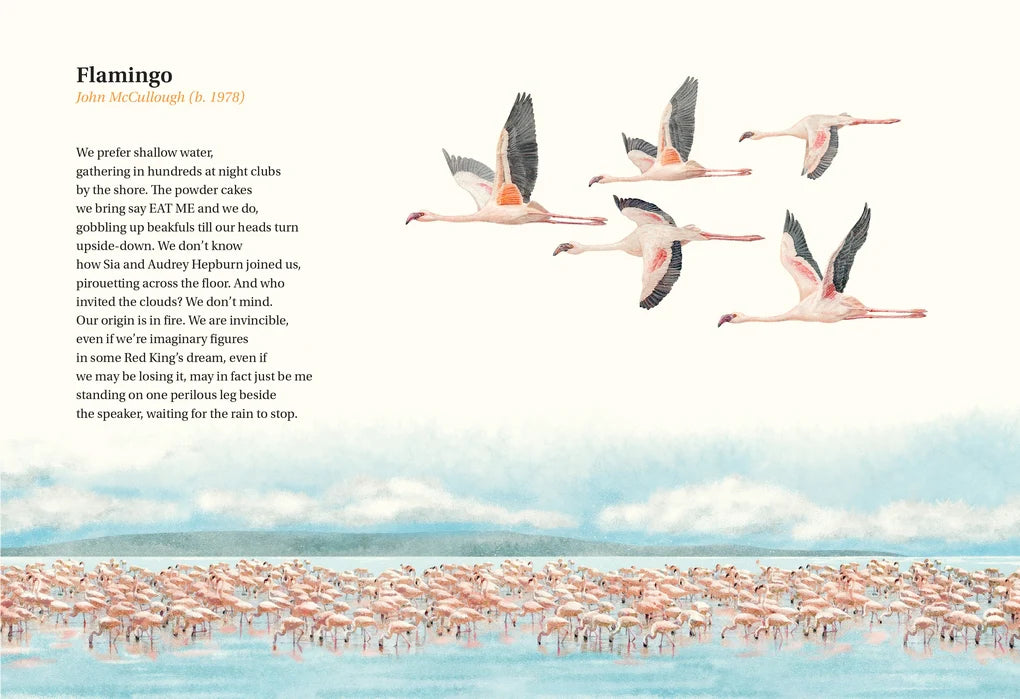 The Book of Bird Poems (Hardback)