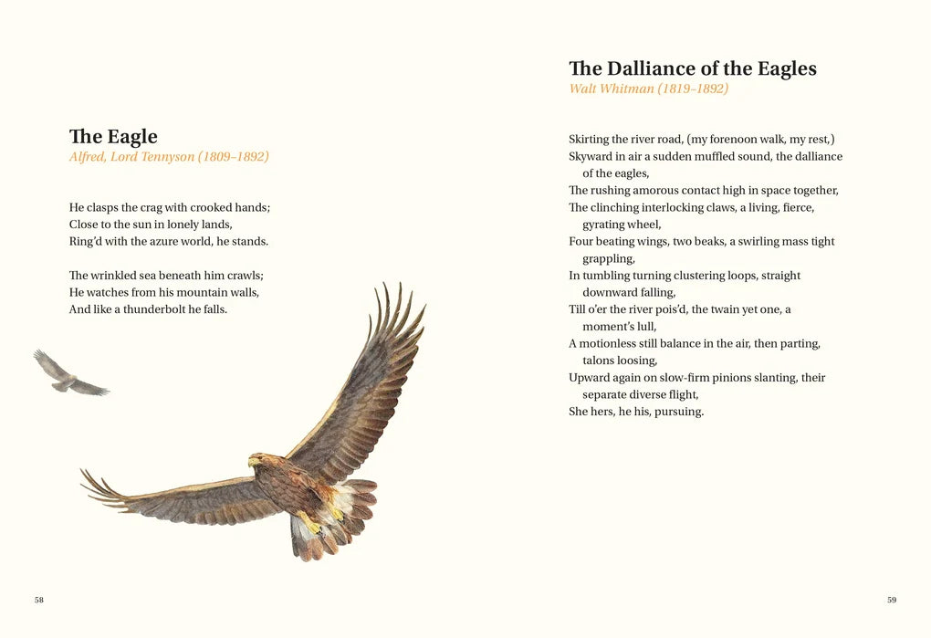 The Book of Bird Poems (Hardback)
