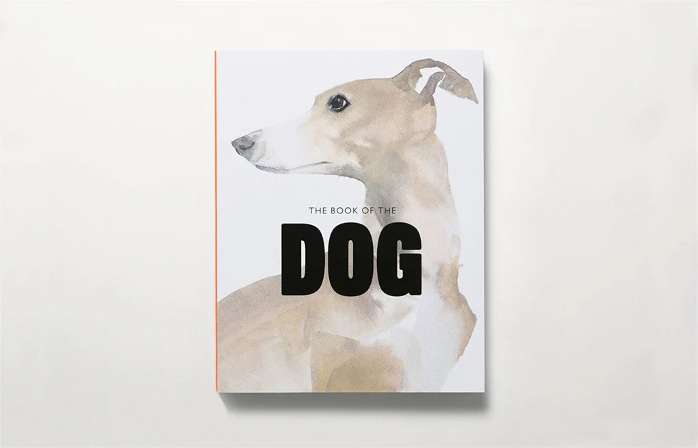 The Book of the Dog: Dogs in Art (Paperback)