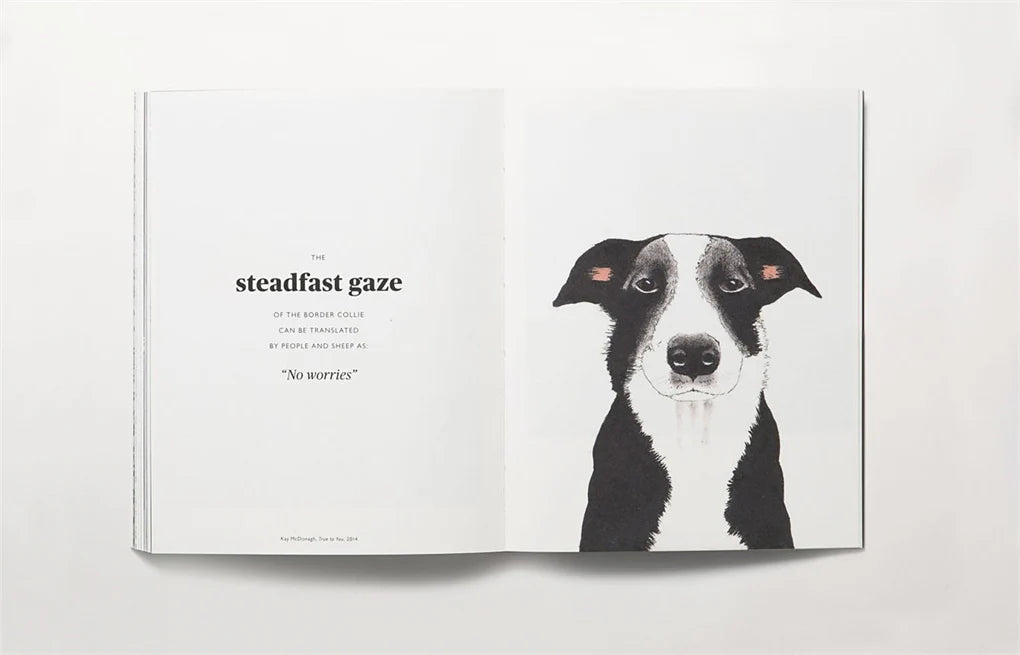 The Book of the Dog: Dogs in Art (Paperback)