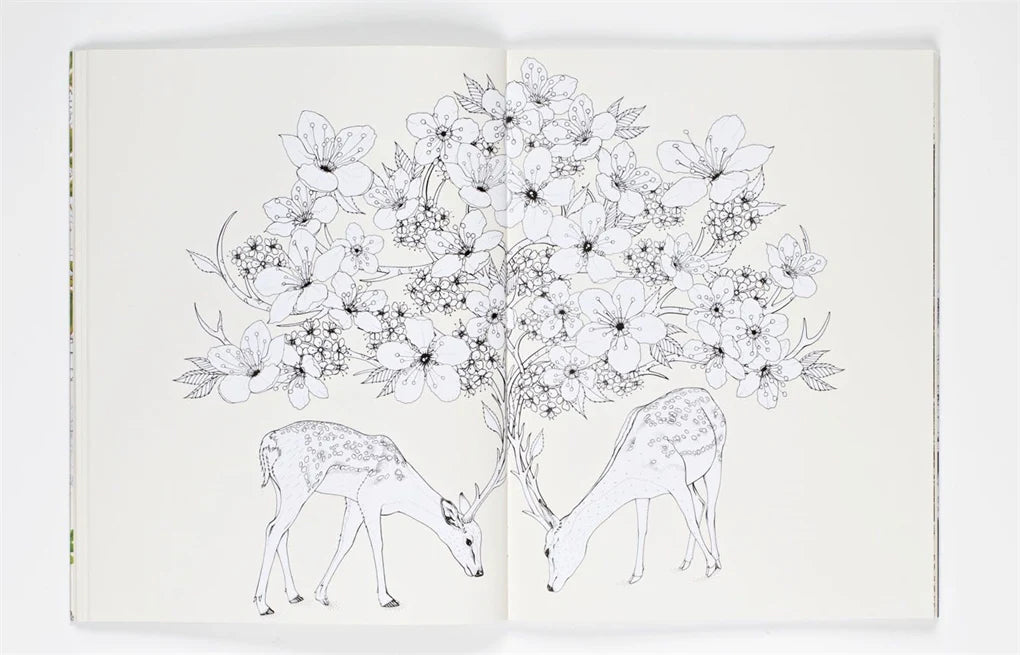 Into the Wild: An Exotic Woodland Colouring Book (Paperback)