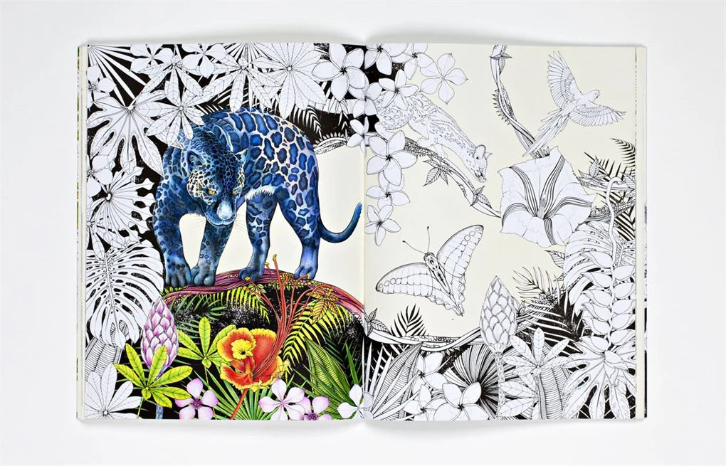 Into the Wild: An Exotic Woodland Colouring Book (Paperback)