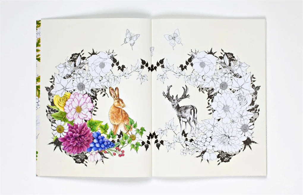 Into the Wild: An Exotic Woodland Colouring Book (Paperback)