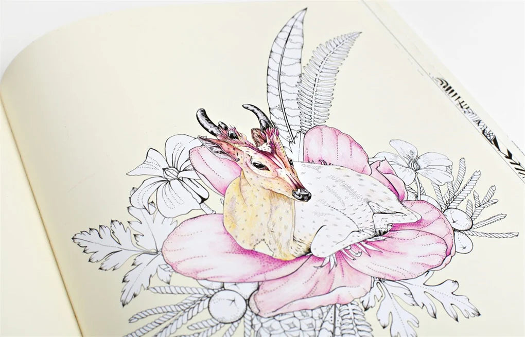 Into the Wild: An Exotic Woodland Colouring Book (Paperback)