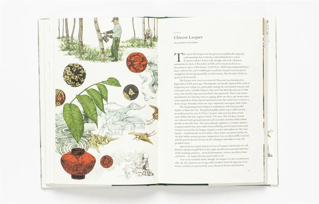 Around the World in 80 Trees (Hardback)