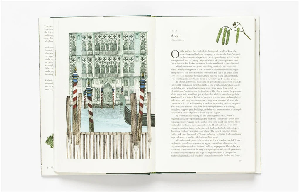 Around the World in 80 Trees (Hardback)