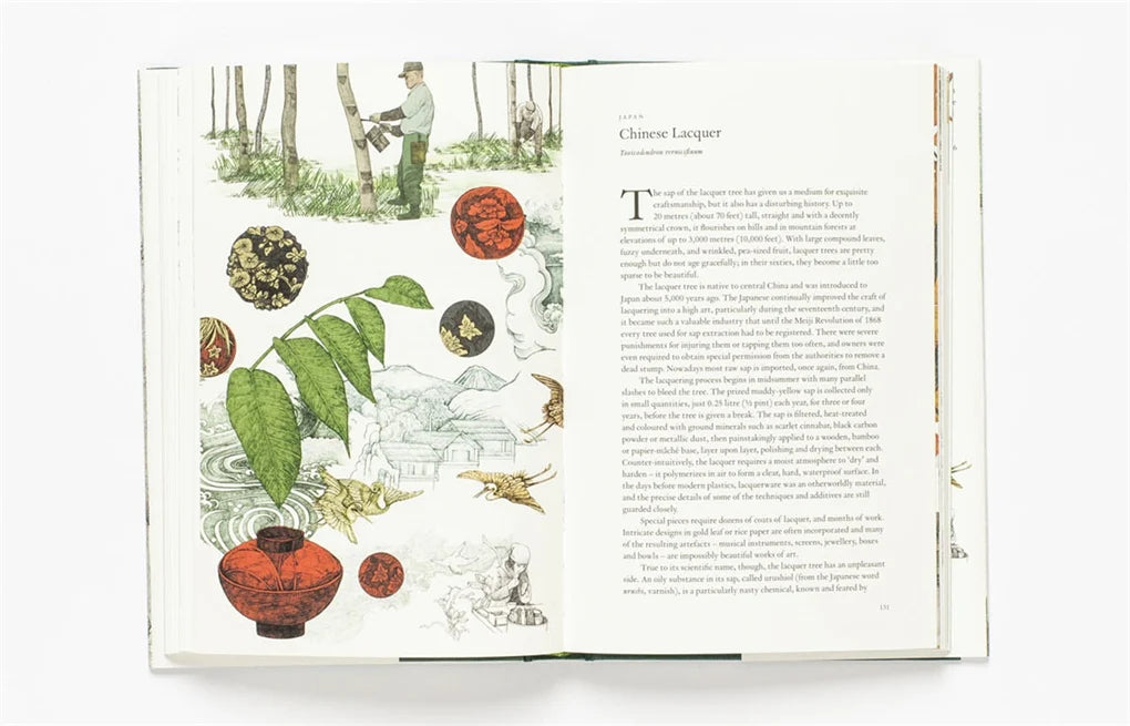 Around the World in 80 Trees (Hardback)